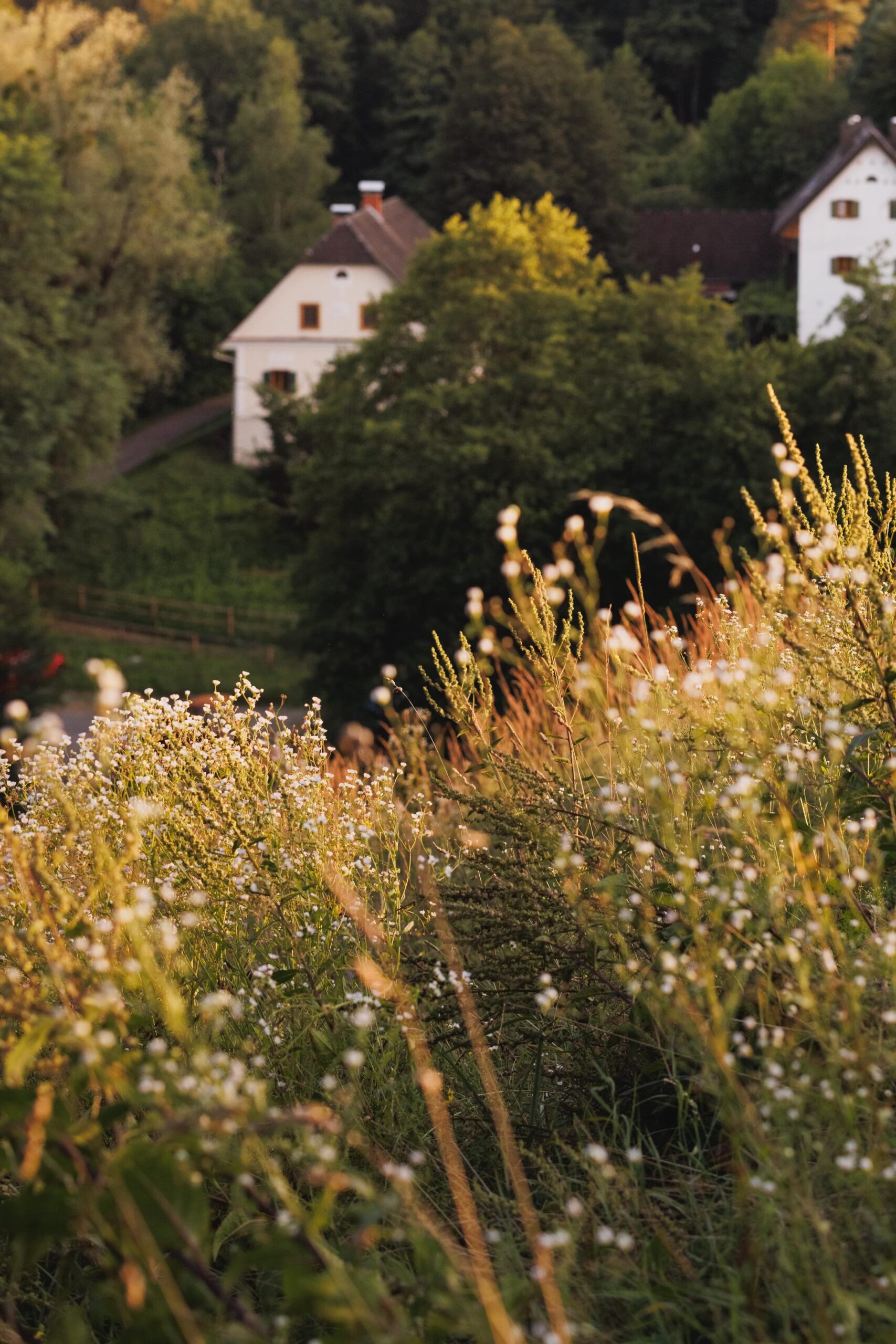 24_07_Faunushof_Drumherum_Stiefkind_Fotografie_0003-min