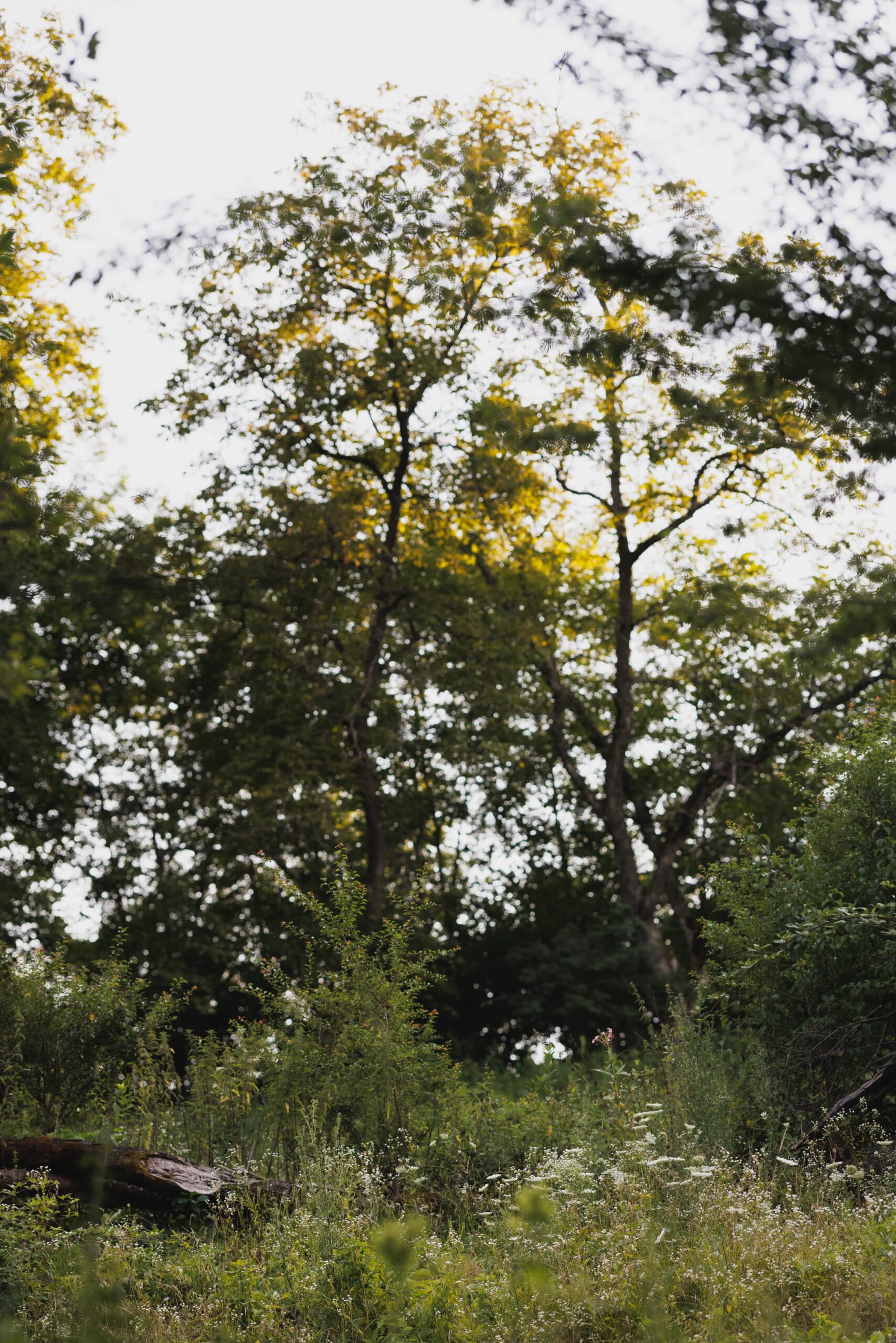 24_07_Faunushof_Drumherum_Stiefkind_Fotografie_0024-min