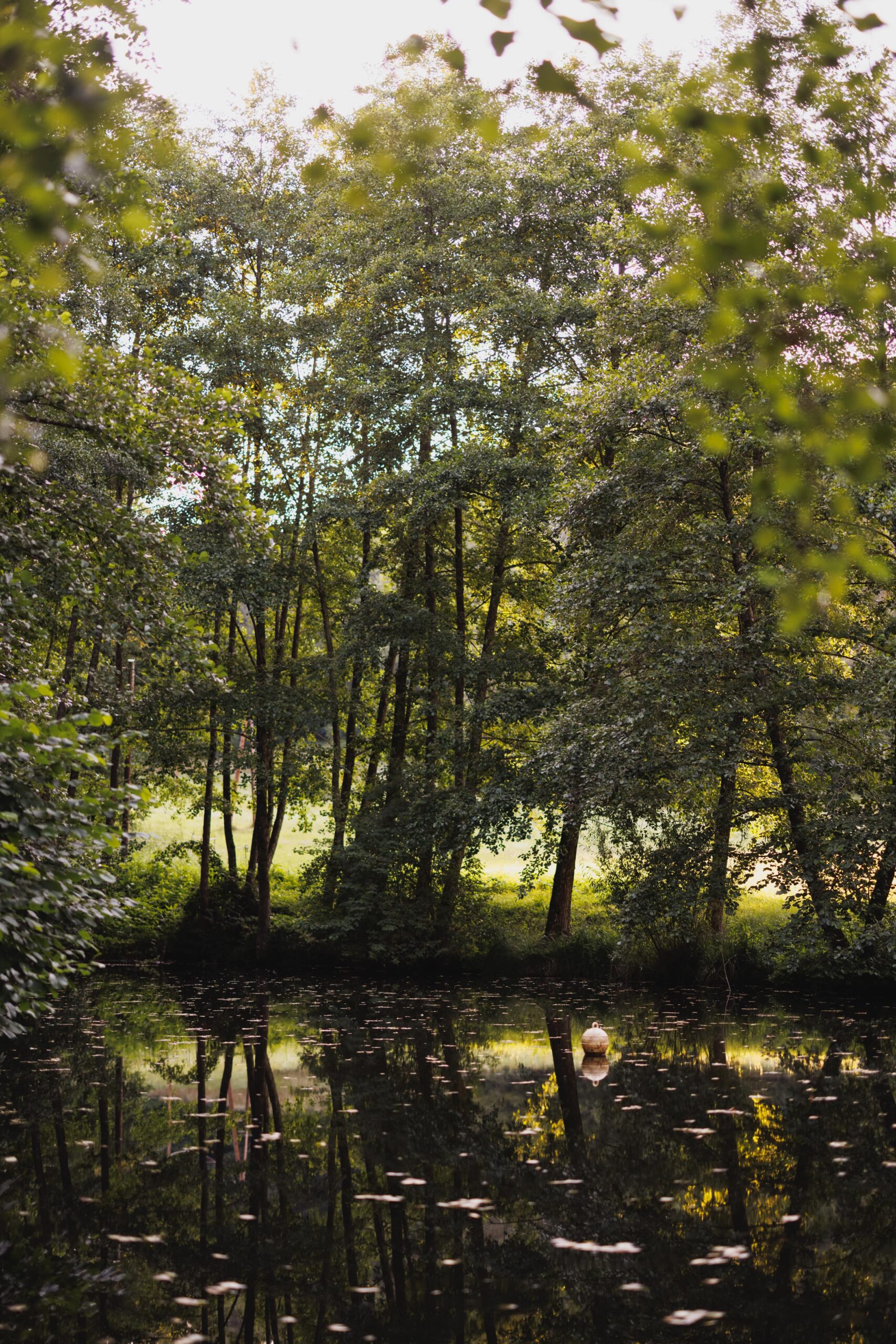 24_07_Faunushof_Drumherum_Stiefkind_Fotografie_0048-min