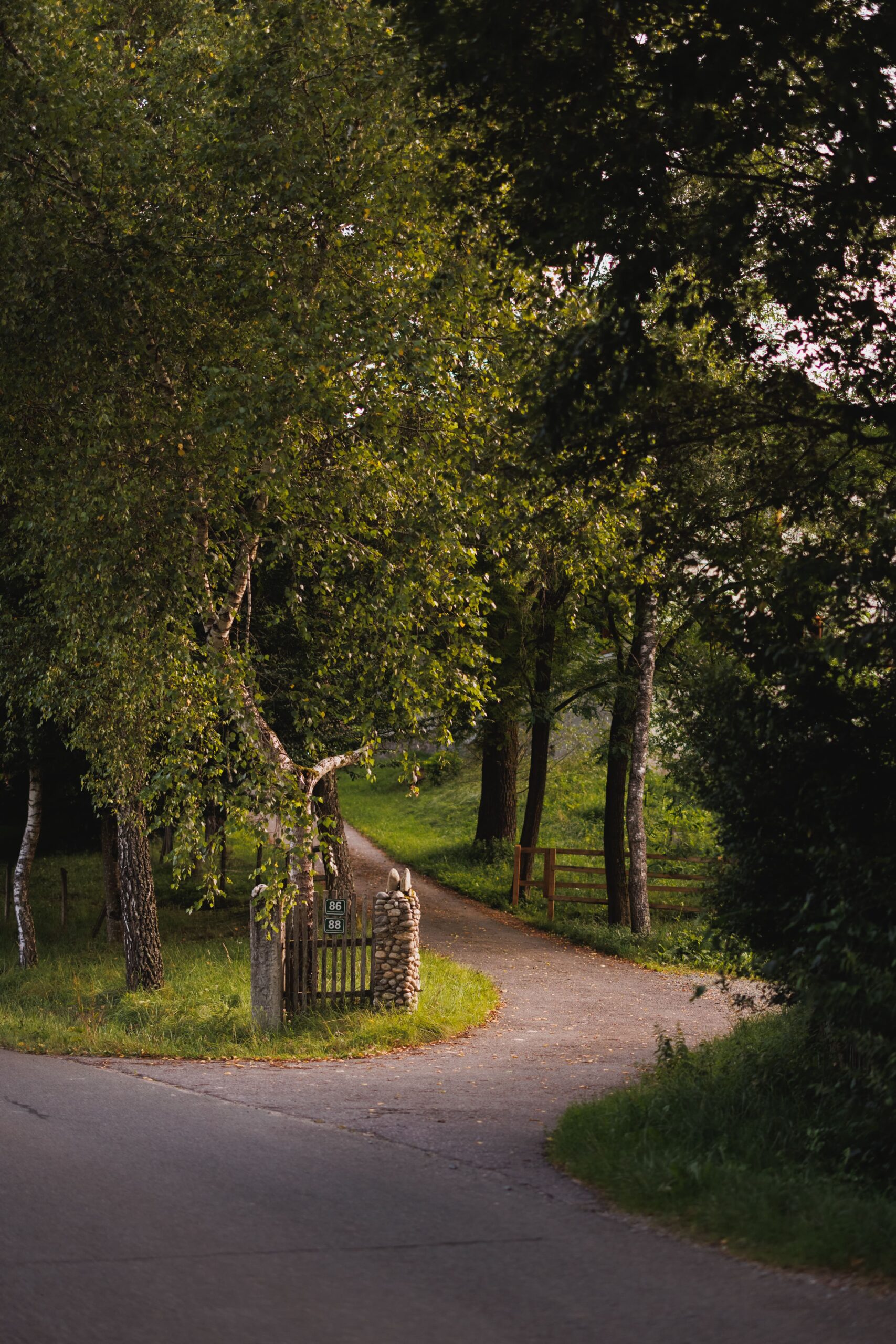 24_07_Faunushof_Drumherum_Stiefkind_Fotografie_0086-min